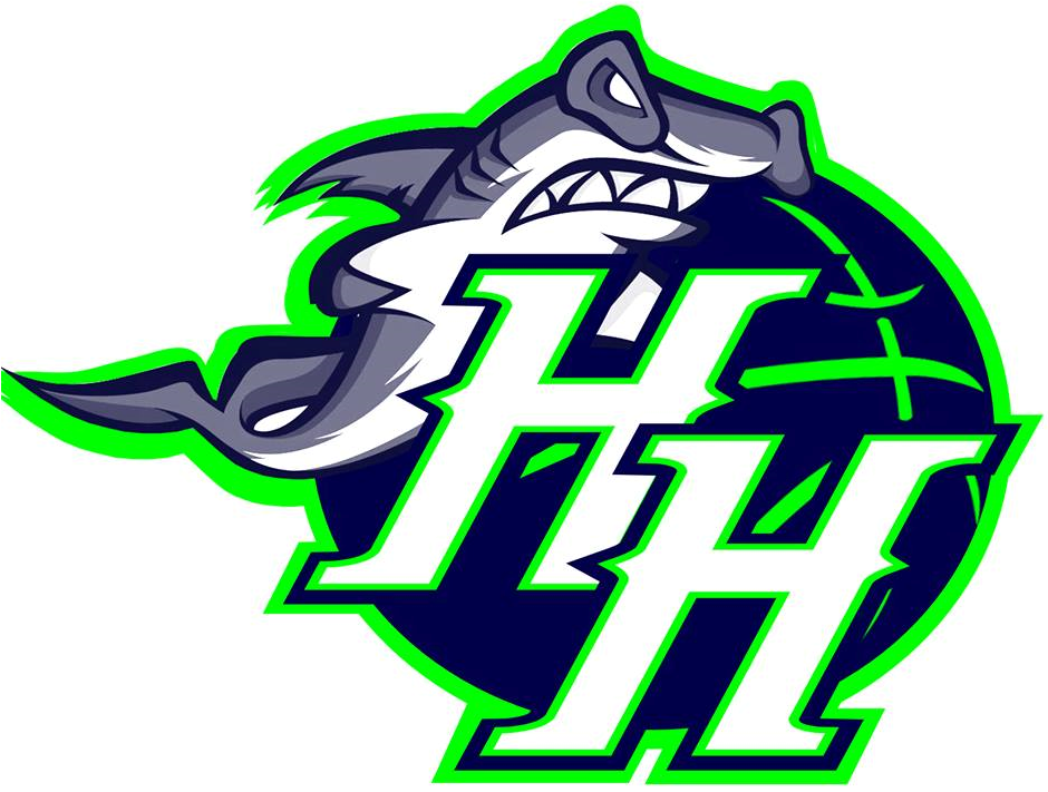 Hawaii Hammerheads 2016-Pres Primary Logo iron on transfers for T-shirts